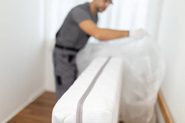 istockphoto-2262649441-612×612